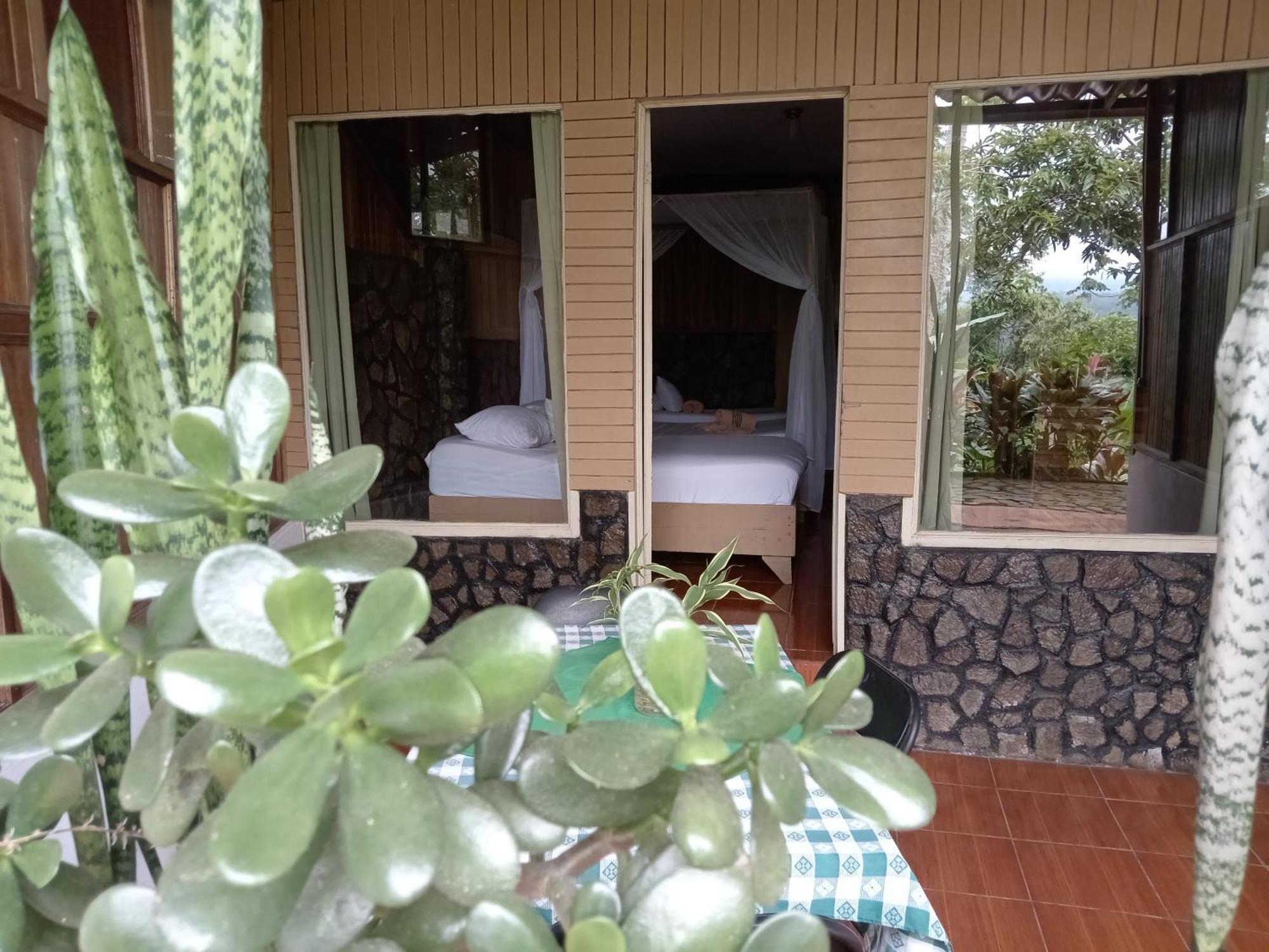 Hotel Green Mountain Туриалба Екстериор снимка